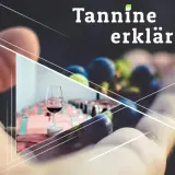 Was sind Tannine im Wein? Eine Hand hält Trauben, daneben ein Glas Rotwein und Holzfässer.