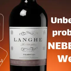 Flasche Rotwein mit Etikett "Langhe Nebbiolo". Die Aufschrift "Unbedingt probieren NEBBIOLO Weine" hebt die Rebsorte hervor.
