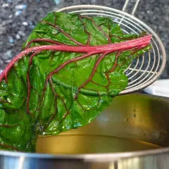 Ein Blatt Mangold mit roten Blattadern wird mit einem Schaumlöffel aus kochendem Wasser gehoben. Das Blanchieren bereitet den Mangold für weitere Zubereitungen vor.