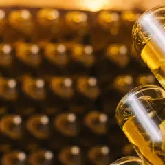 Flaschen mit goldgelbem Inhalt, vielleicht Prosecco, lagern in Regalen. Ob Prosecco schlecht werden kann, ist eine Frage der Lagerung.