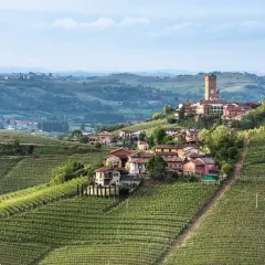 Idyllisches Dorf in den Weinbergen des Piemont, wo die berühmte Barbaresco Rebsorte gedeiht.