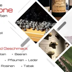 Amarone: Trauben, Flaschen, Wein im Glas, Weinberge. Aromen: Beeren, Kirschen, Pflaumen, Rosinen, Tabak, erdige Noten. Was ist Amarone? Ein edler Wein.