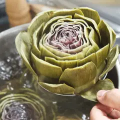 Eine Hand hebt eine Artischocke mit einer Schöpfkelle aus kochendem Wasser. Das Zubereiten von Artischocken ist ein Genuss.