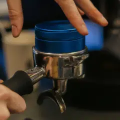 Barista bereitet Espresso zu, indem er den Tamper auf den Kaffeepuck im Siebträger drückt.