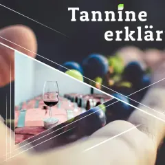 Was sind Tannine im Wein? Eine Hand hält Trauben, daneben ein Glas Rotwein und Holzfässer.