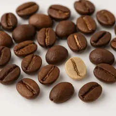Ein **ausschuss bei kaffeebohnen**? Nein, nur eine helle Bohne inmitten vieler dunkler, gerösteter Kaffeebohnen auf weißem Grund.