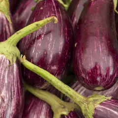 Bunte Auberginen, perfekt für die aubergine saison. Ihre Streifen machen sie zu einem Blickfang.