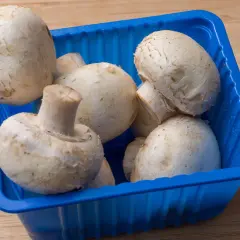 Frische Champignons lagern in einer blauen Schale auf einem Holztisch.