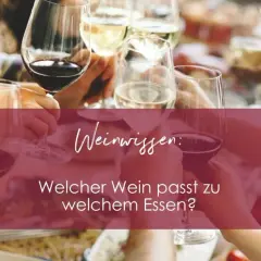 Hände halten Gläser mit Rotwein und Weißwein. Weinwissen: Welche Rotwein Sorten passen zu welchem Essen?