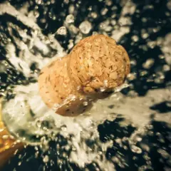 Champagnerkorken spritzt aus der Flasche, ein Moment des Feierns, der zeigt, wie wichtig es ist, Champagner richtig zu lagern.