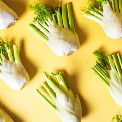 Frischer Fenchel in Hülle und Fülle, ein Zeichen für die Fenchel Saison. Die weißen Knollen mit ihren grünen Stielen und feinen Dolden liegen auf gelbem Untergrund.