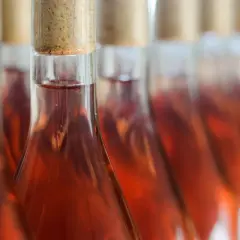 Reihe von Flaschen mit Roséwein, bereit für die Abfüllung. Die Herstellung von Roséwein ist ein sorgfältiger Prozess.
