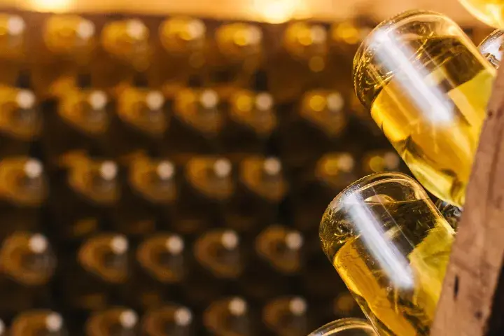 Flaschen mit goldgelbem Inhalt, vielleicht Prosecco, lagern in Regalen. Ob Prosecco schlecht werden kann, ist eine Frage der Lagerung.
