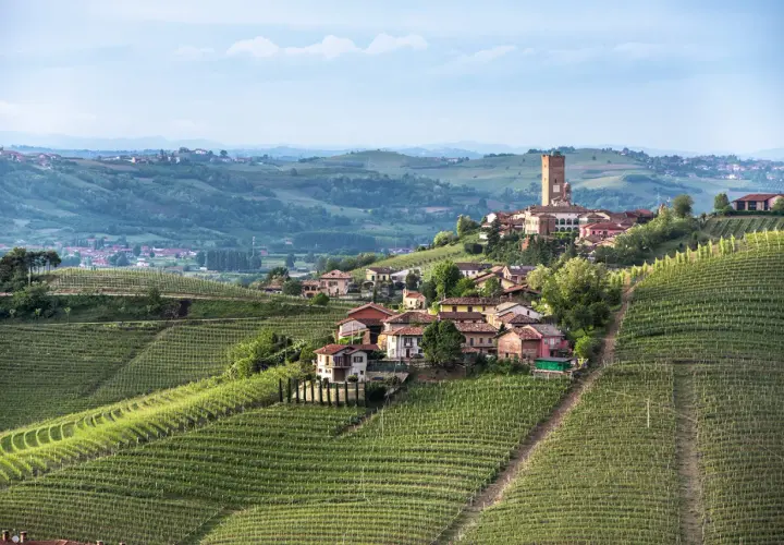Idyllisches Dorf in den Weinbergen des Piemont, wo die berühmte Barbaresco Rebsorte gedeiht.