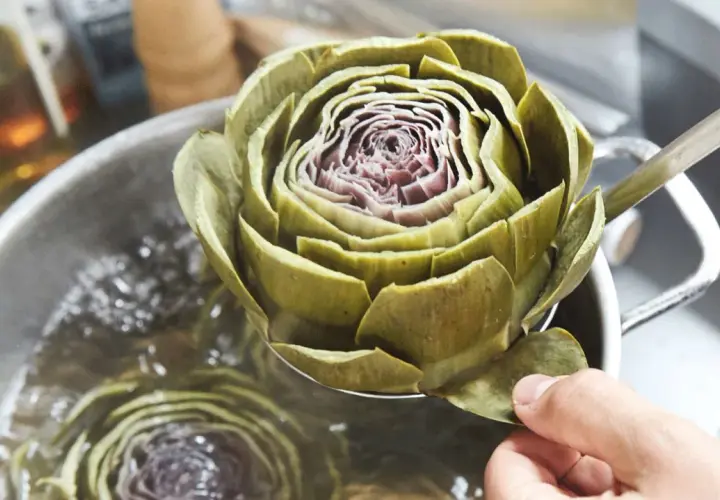 Eine Hand hebt eine Artischocke mit einer Schöpfkelle aus kochendem Wasser. Das Zubereiten von Artischocken ist ein Genuss.