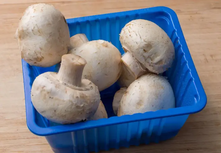 Frische Champignons lagern in einer blauen Schale auf einem Holztisch.