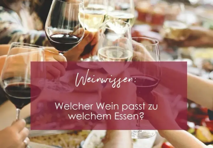 Hände halten Gläser mit Rotwein und Weißwein. Weinwissen: Welche Rotwein Sorten passen zu welchem Essen?