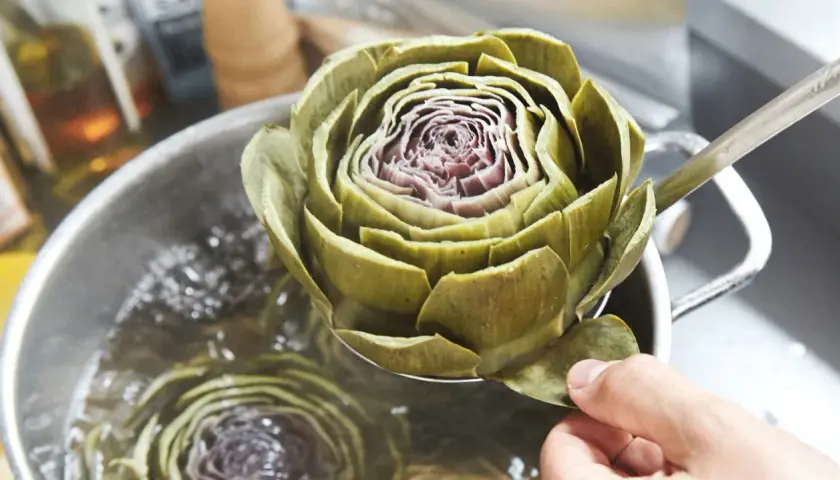 Eine Hand hebt eine Artischocke mit einer Schöpfkelle aus kochendem Wasser. Das Zubereiten von Artischocken ist ein Genuss.