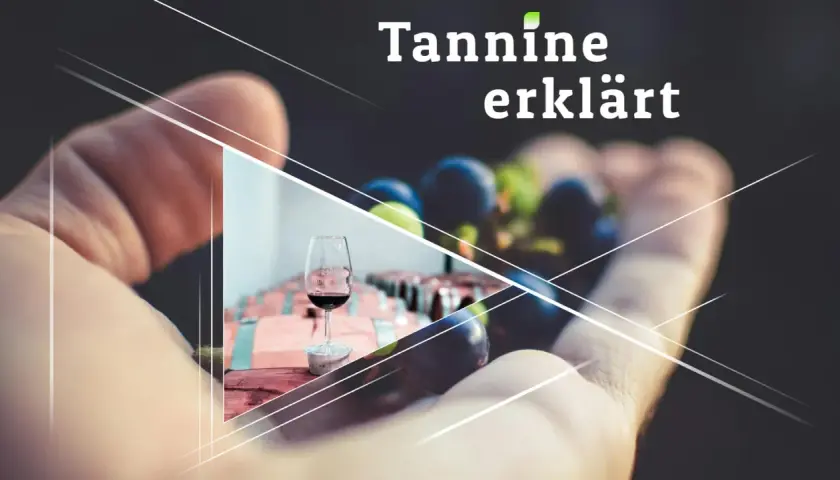Was sind Tannine im Wein? Eine Hand hält Trauben, daneben ein Glas Rotwein und Holzfässer.