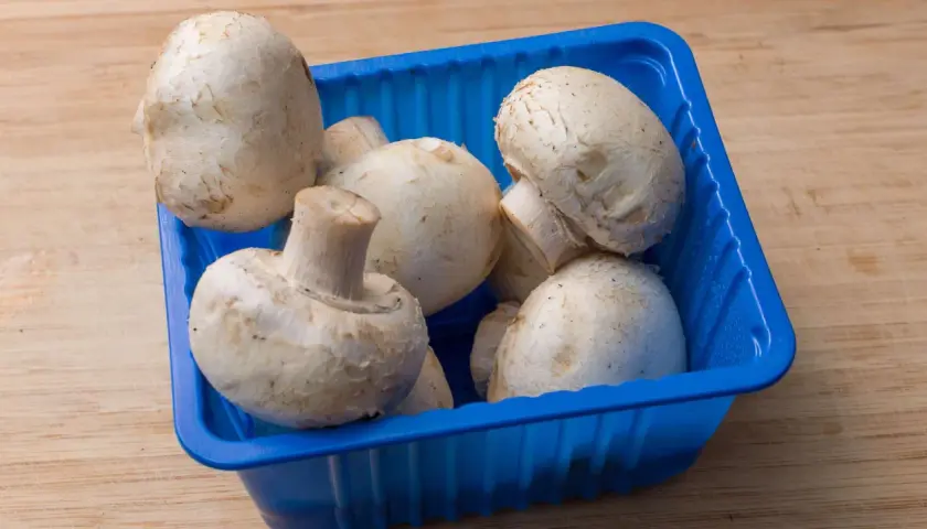 Frische Champignons lagern in einer blauen Schale auf einem Holztisch.