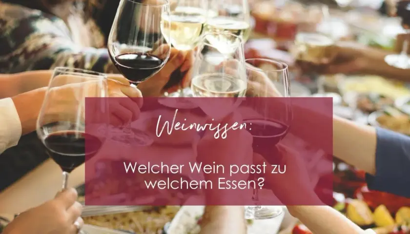 Hände halten Gläser mit Rotwein und Weißwein. Weinwissen: Welche Rotwein Sorten passen zu welchem Essen?