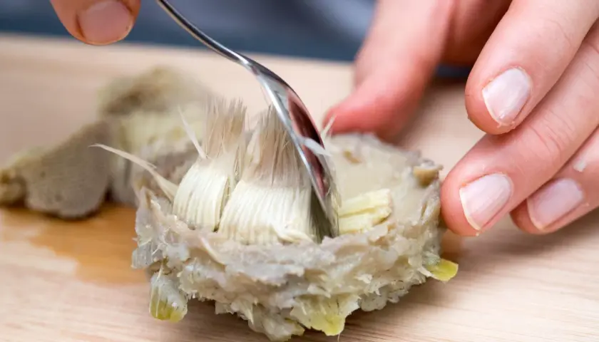 Mit einer Gabel wird das zarte Herz einer gekochten Artischocke freigelegt. So isst man Artischocken: Blatt für Blatt abziehen und das Fleisch abkratzen.