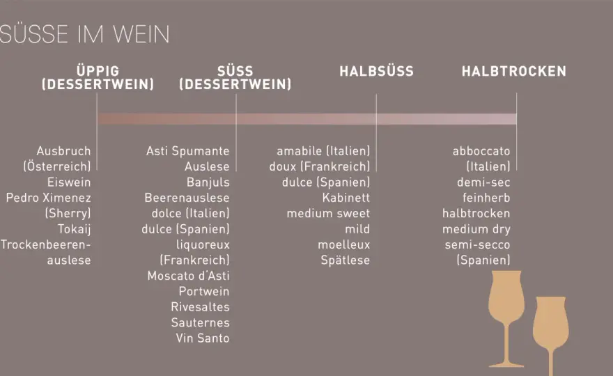 Weinsorten verstehen und den passenden Wein zum Essen finden