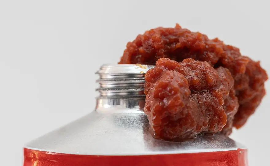 Tomatenmark haltbar? So lagern Sie Tube, Glas und Dose richtig