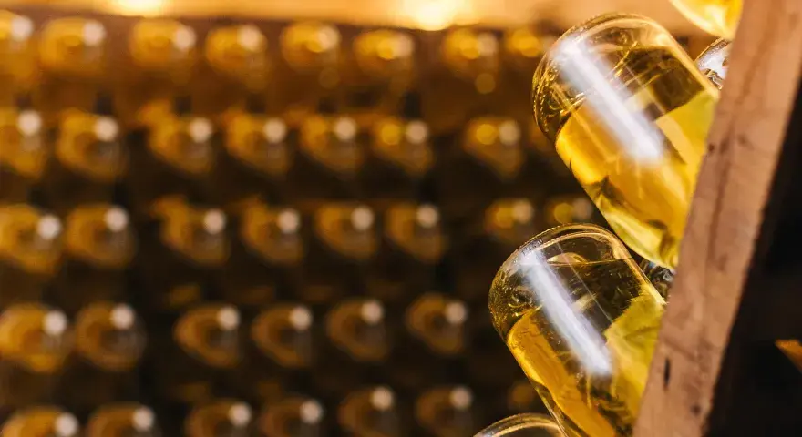 Wie lange hält Prosecco und woran erkenne ich verdorbenen Wein?