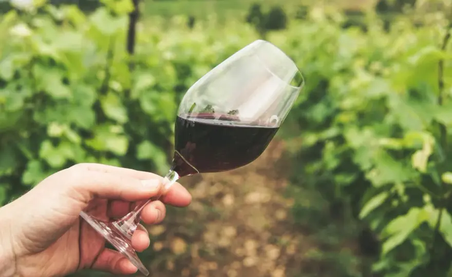Fumé-Wein richtig einordnen - Feuerstein, Holz oder Fehler?