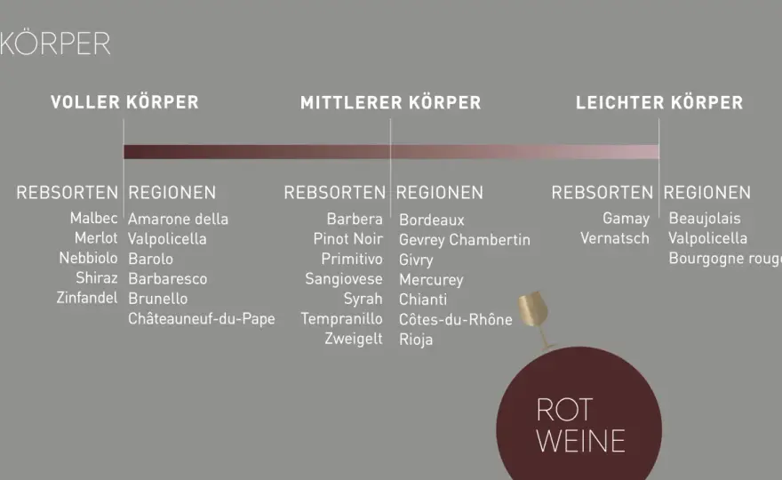Barrique-Wein verstehen - Rebsorten, Reife und Speisen