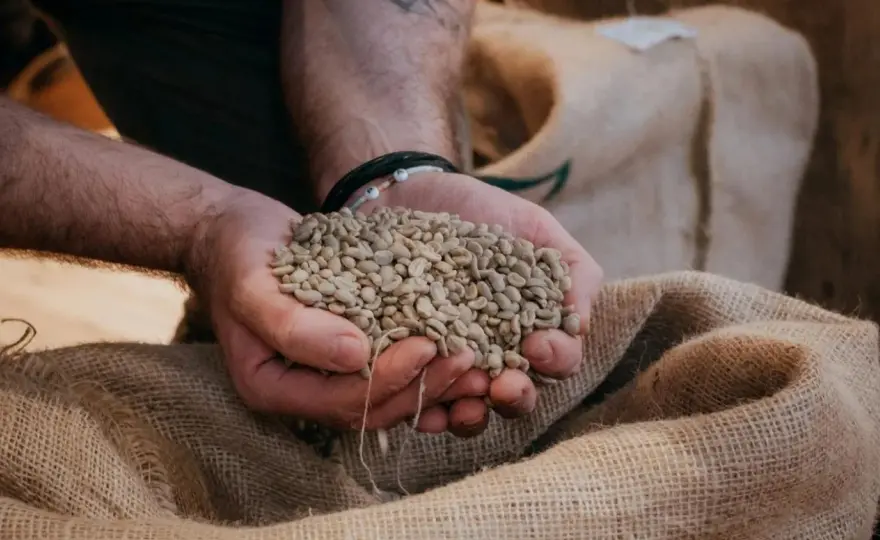 Kaffeebohnen aufbewahren - so bleibt das Aroma wirklich frisch