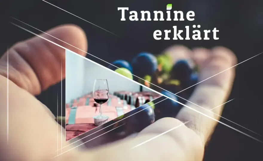 Tannine im Wein erkennen und richtig kombinieren