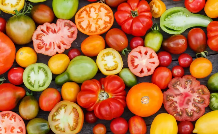 Tomatensorten-Namen verstehen und die passende Sorte wählen