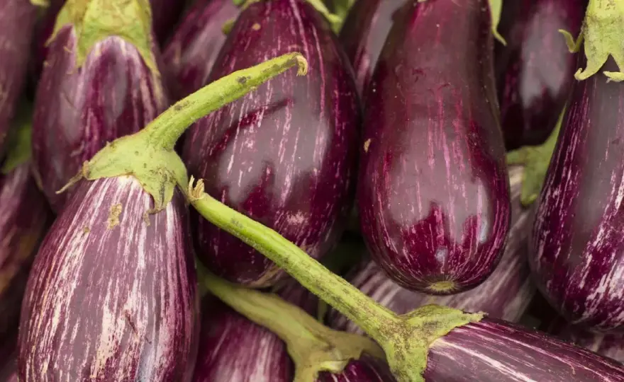 Auberginen-Saison in Deutschland - so erkennst du die beste Zeit