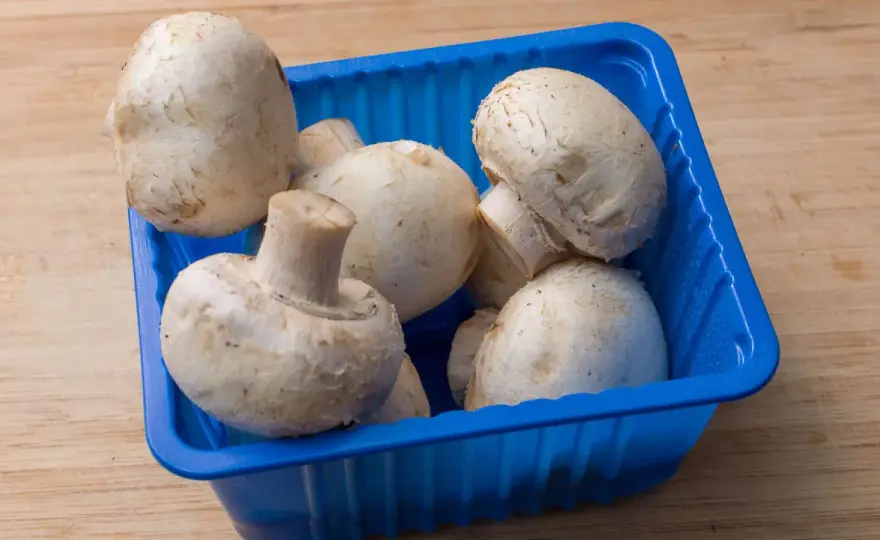 Champignons lagern - so bleiben sie länger frisch