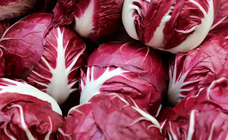 Radicchio-Saison in Deutschland - wann ist er frisch?