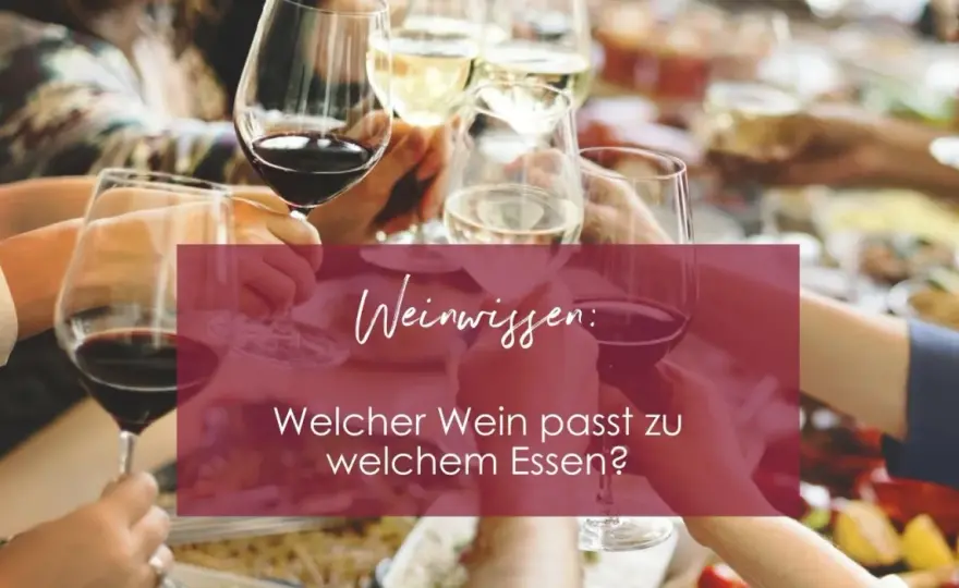 Rotwein-Sorten entdecken - Welche Rebe passt zu welchem Essen?