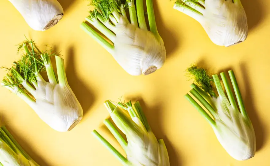Fenchel-Saison in Deutschland - Frische erkennen und richtig lagern