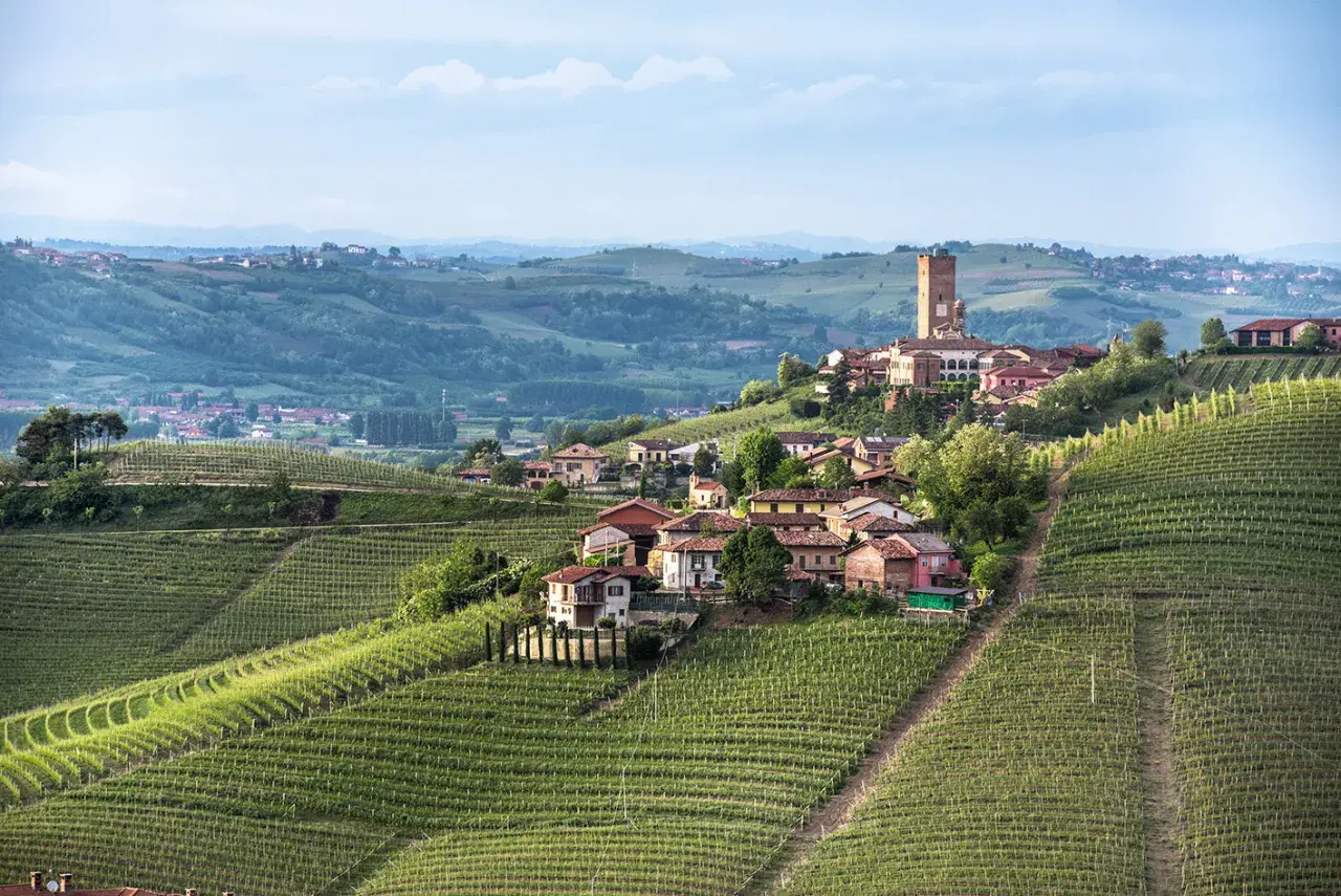Idyllisches Dorf in den Weinbergen des Piemont, wo die berühmte Barbaresco Rebsorte gedeiht.
