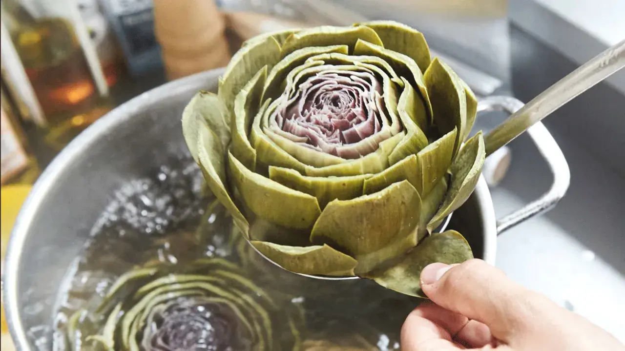 Eine Hand hebt eine Artischocke mit einer Schöpfkelle aus kochendem Wasser. Das Zubereiten von Artischocken ist ein Genuss.