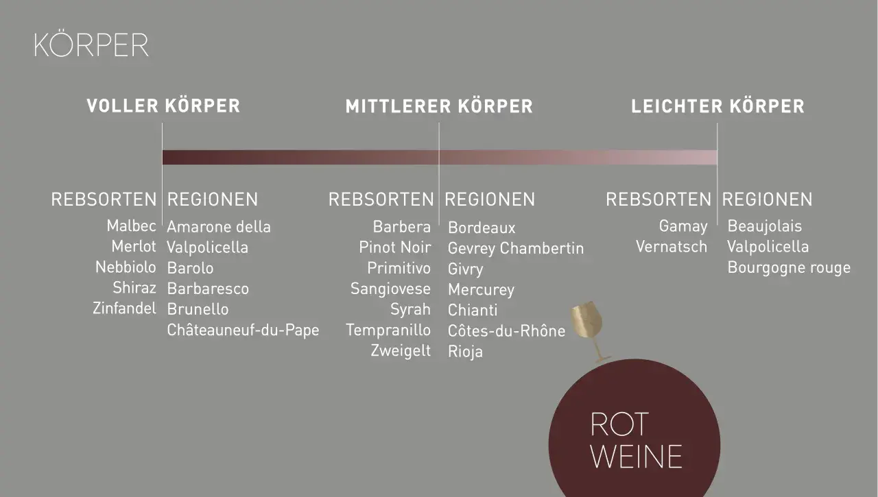 Wein-Körper-Schema: Voller Körper (Malbec, Amarone), mittlerer Körper (Barbera, Bordeaux), leichter Körper (Gamay, Beaujolais). Barrique-Wein-Stile sind hier nicht explizit aufgeführt.