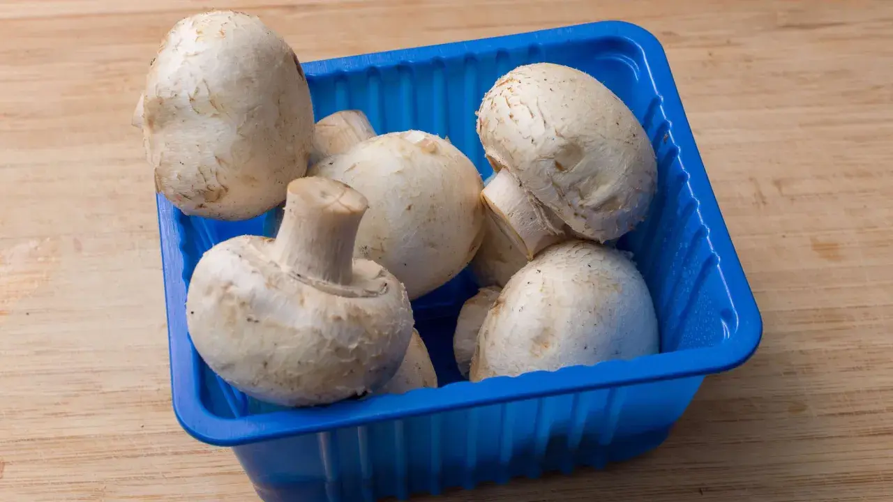 Frische Champignons lagern in einer blauen Schale auf einem Holztisch.