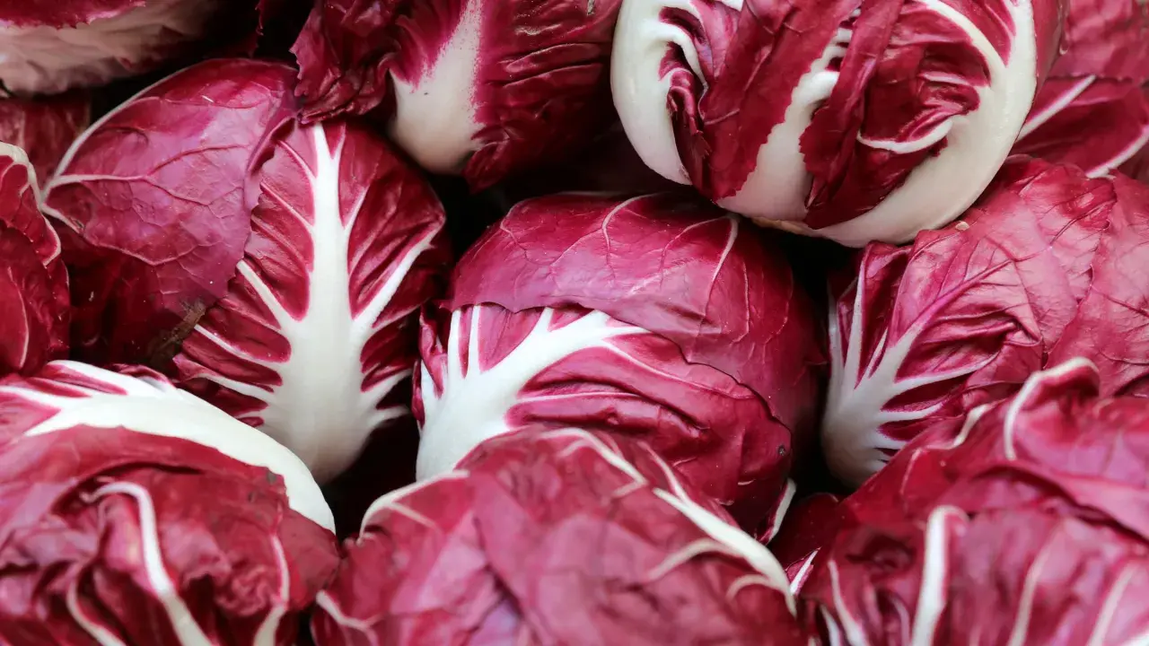 Frischer Radicchio, bereit für die Saison. Die tiefroten Blätter mit weißen Adern versprechen einen knackigen Biss.