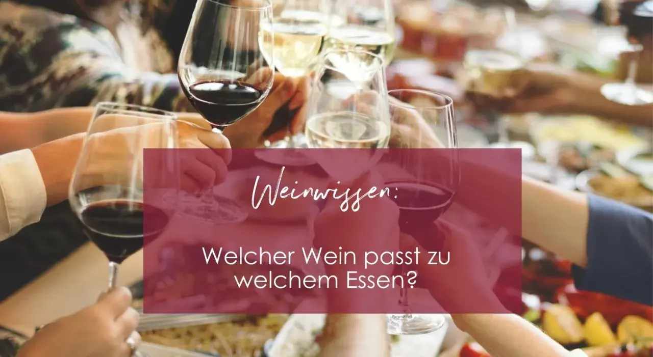 Hände halten Gläser mit Rotwein und Weißwein. Weinwissen: Welche Rotwein Sorten passen zu welchem Essen?