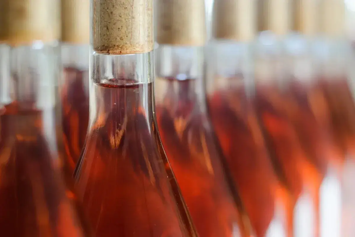 Reihe von Flaschen mit Roséwein, bereit für die Abfüllung. Die Herstellung von Roséwein ist ein sorgfältiger Prozess.