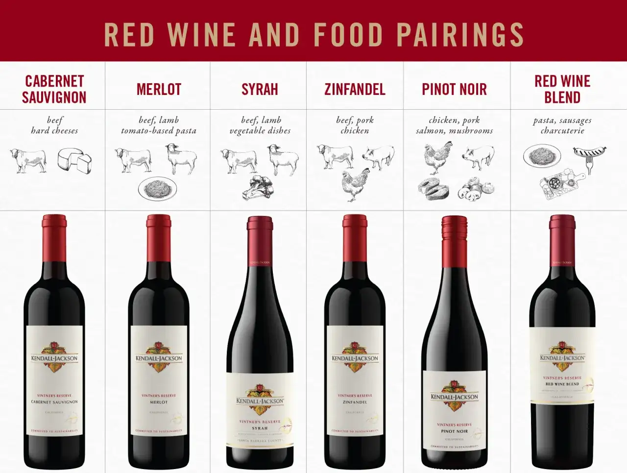 Verschiedene rotwein sorten wie Cabernet Sauvignon, Merlot, Syrah, Zinfandel, Pinot Noir und ein Blend, mit passenden Speisenempfehlungen.