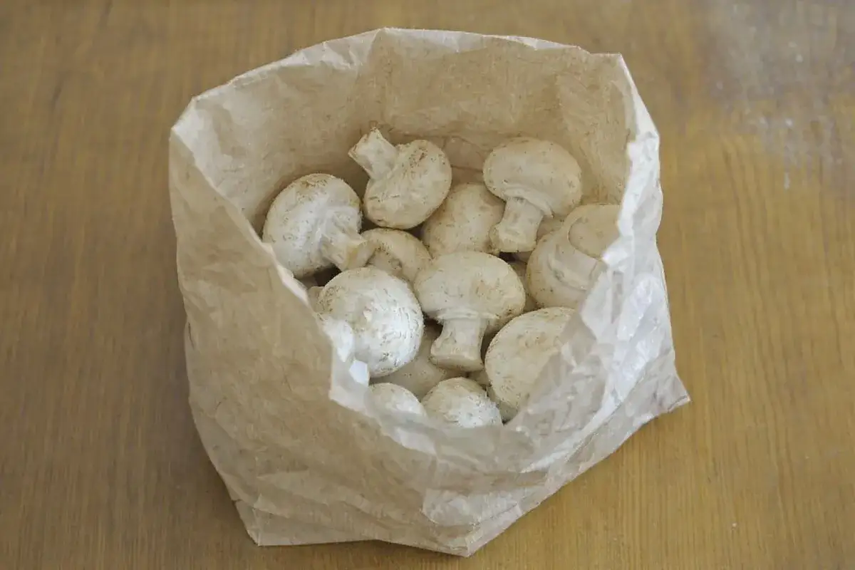 Frische Champignons lagern in einer Papiert&uuml;te auf einem Holztisch.