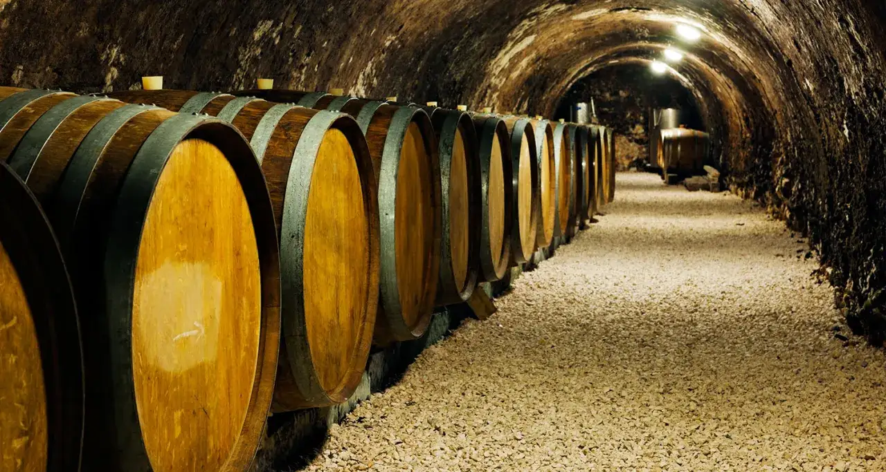 Holzige Fässer reifen im Keller, bereit für den edlen barrique wein.