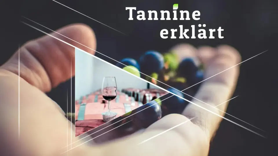 Tannine im Wein erkennen und richtig kombinieren